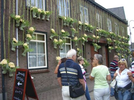 Lottum : Ortskern, Rosenfestival 2008